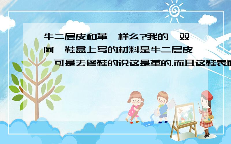 牛二层皮和革一样么?我的一双阿迪鞋盒上写的材料是牛二层皮,可是去修鞋的说这是革的.而且这鞋表面涂层都裂开了,就是所谓的掉