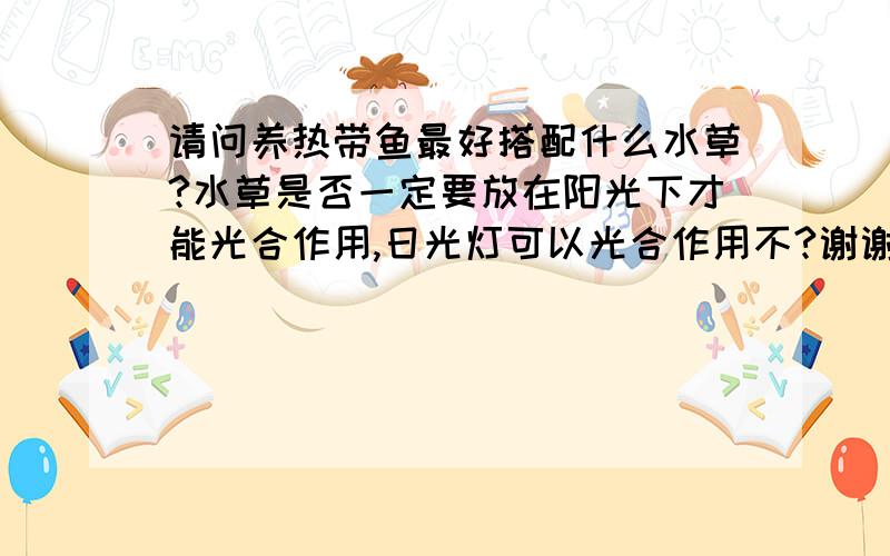 请问养热带鱼最好搭配什么水草?水草是否一定要放在阳光下才能光合作用,日光灯可以光合作用不?谢谢