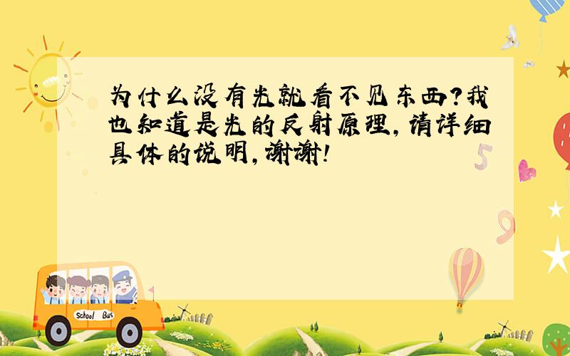 为什么没有光就看不见东西?我也知道是光的反射原理,请详细具体的说明,谢谢!