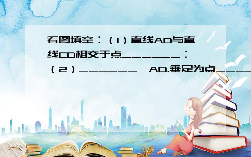 看图填空：（1）直线AD与直线CD相交于点______；（2）______⊥AD，垂足为点______；AC⊥_____