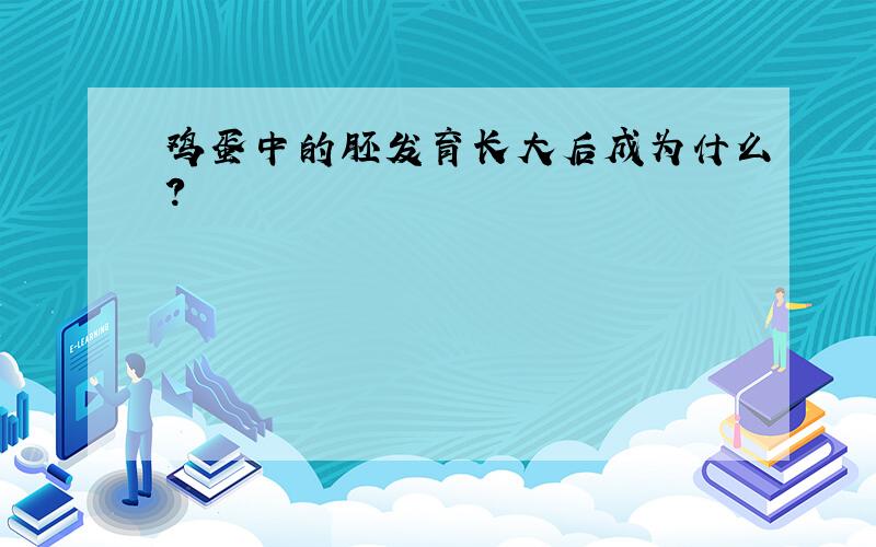 鸡蛋中的胚发育长大后成为什么?