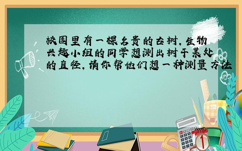 校园里有一棵名贵的古树,生物兴趣小组的同学想测出树干某处的直径,请你帮他们想一种测量方法