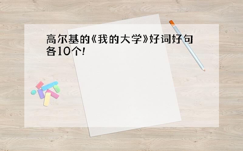 高尔基的《我的大学》好词好句各10个!