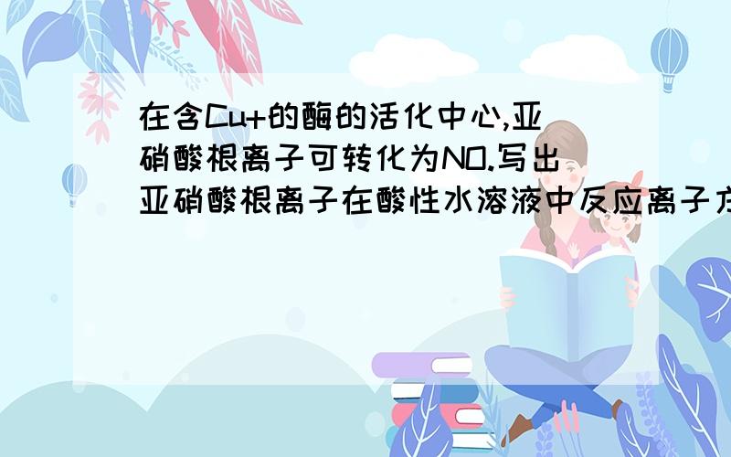 在含Cu+的酶的活化中心,亚硝酸根离子可转化为NO.写出亚硝酸根离子在酸性水溶液中反应离子方程