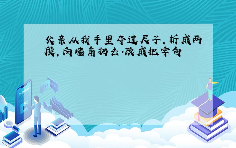 父亲从我手里夺过尺子,折成两段,向墙角扔去.改成把字句