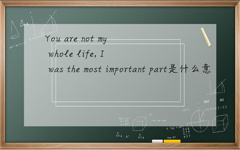 You are not my whole life, I was the most important part是什么意