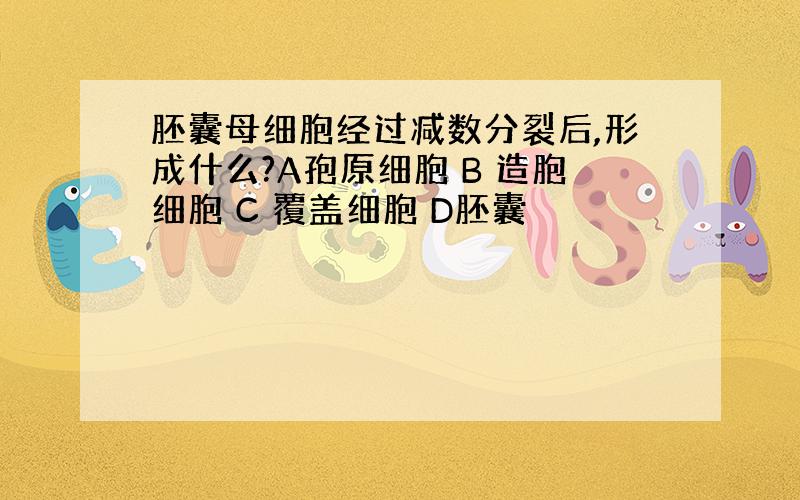 胚囊母细胞经过减数分裂后,形成什么?A孢原细胞 B 造胞细胞 C 覆盖细胞 D胚囊