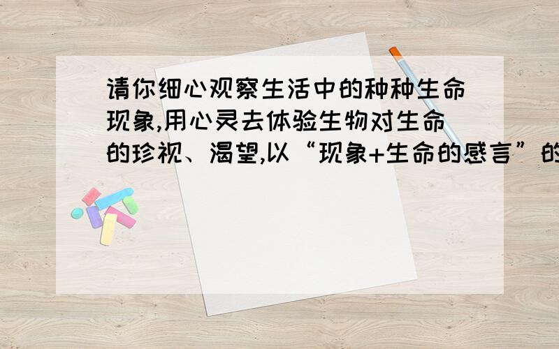 请你细心观察生活中的种种生命现象,用心灵去体验生物对生命的珍视、渴望,以“现象+生命的感言”的形式写一段话（100字左右