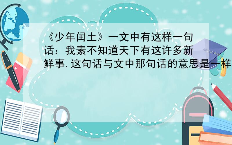 《少年闰土》一文中有这样一句话：我素不知道天下有这许多新鲜事.这句话与文中那句话的意思是一样的?