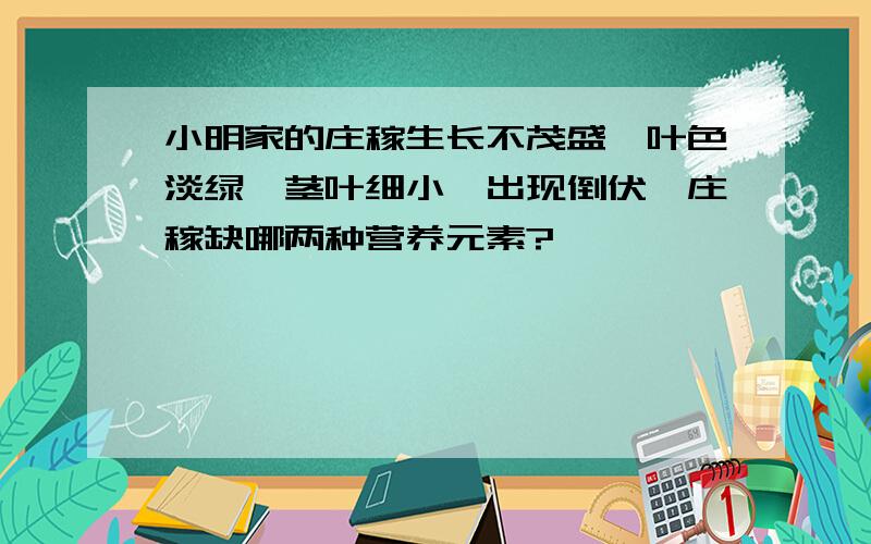 小明家的庄稼生长不茂盛,叶色淡绿,茎叶细小,出现倒伏,庄稼缺哪两种营养元素?