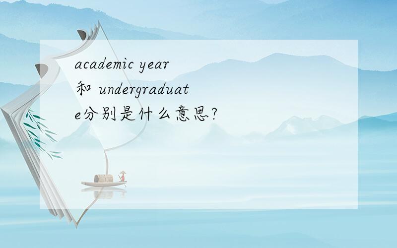 academic year 和 undergraduate分别是什么意思?