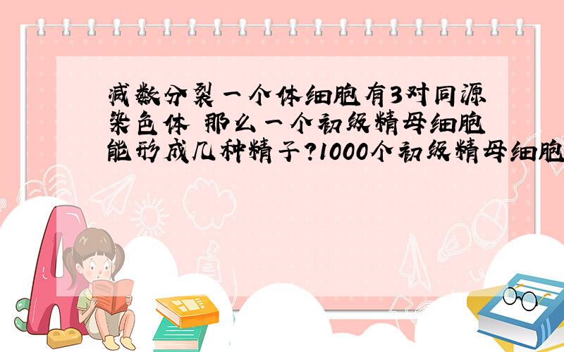 减数分裂一个体细胞有3对同源染色体 那么一个初级精母细胞能形成几种精子?1000个初级精母细胞呢?2 2乘10的3次方