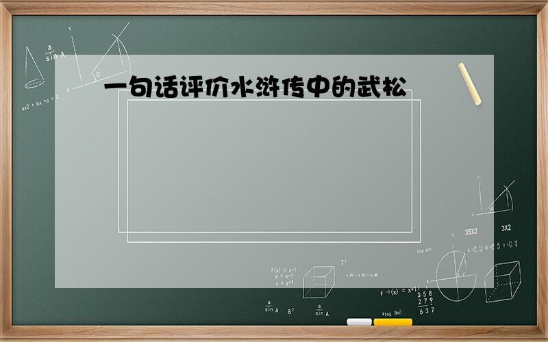 一句话评价水浒传中的武松