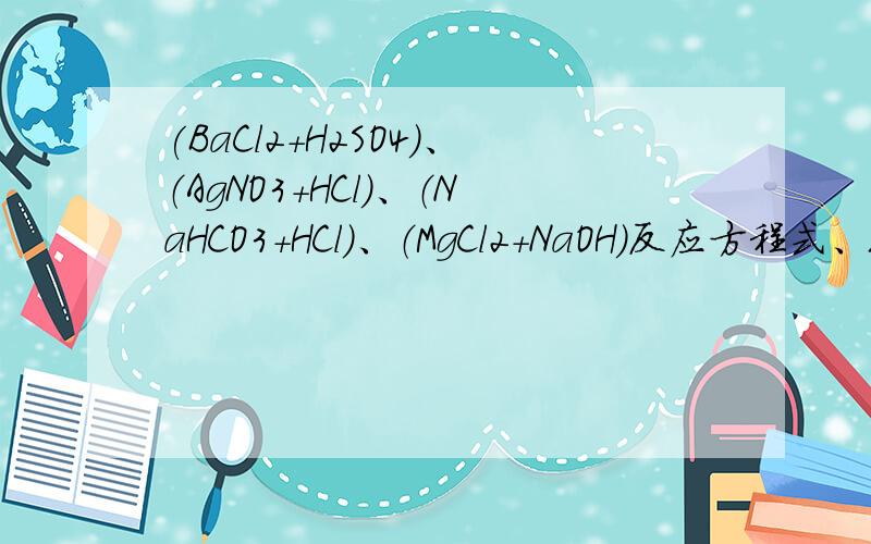 (BaCl2+H2SO4)、（AgNO3+HCl）、（NaHCO3+HCl）、（MgCl2+NaOH）反应方程式、现象