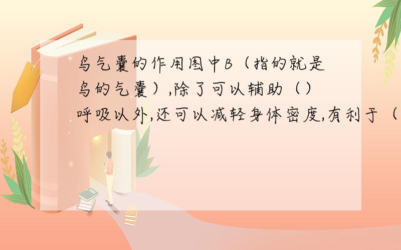 鸟气囊的作用图中B（指的就是鸟的气囊）,除了可以辅助（）呼吸以外,还可以减轻身体密度,有利于（）