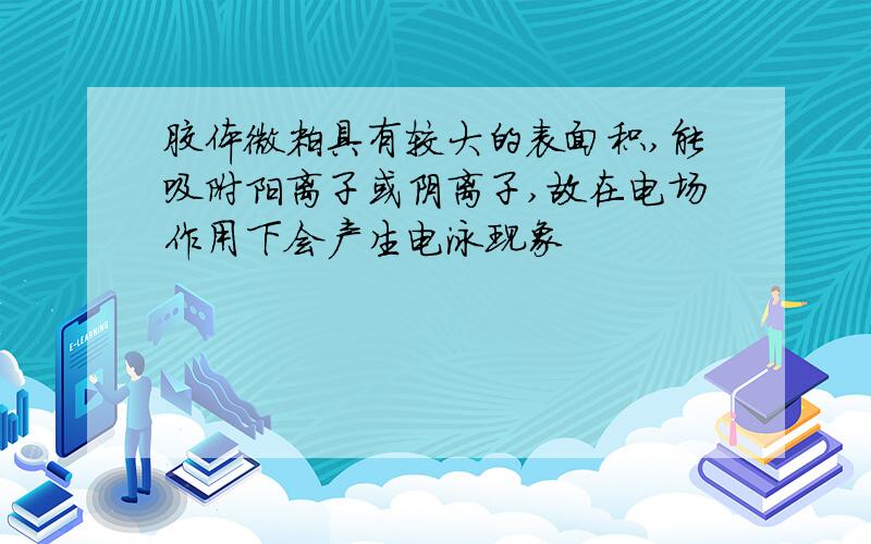 胶体微粒具有较大的表面积,能吸附阳离子或阴离子,故在电场作用下会产生电泳现象