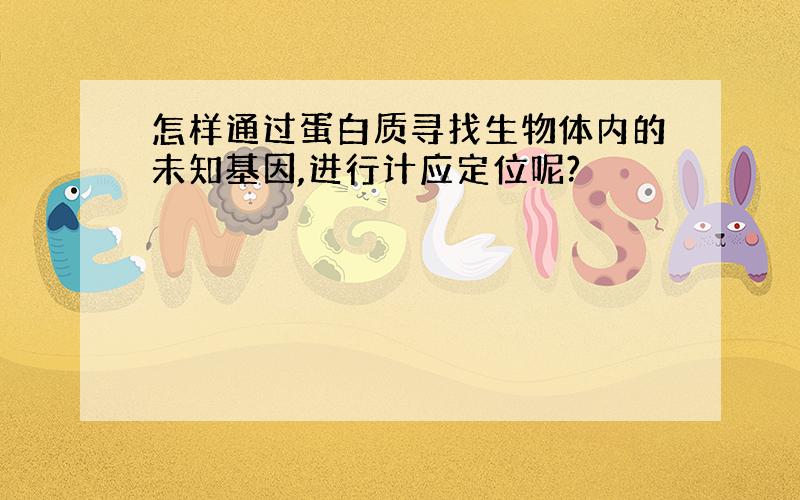 怎样通过蛋白质寻找生物体内的未知基因,进行计应定位呢?