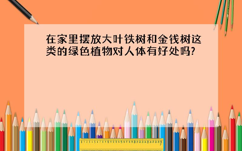 在家里摆放大叶铁树和金钱树这类的绿色植物对人体有好处吗?