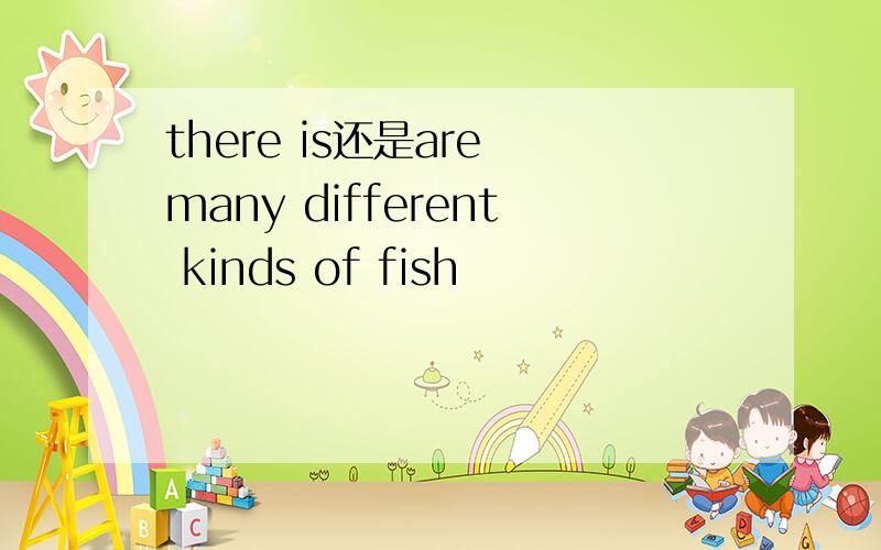 there is还是are many different kinds of fish