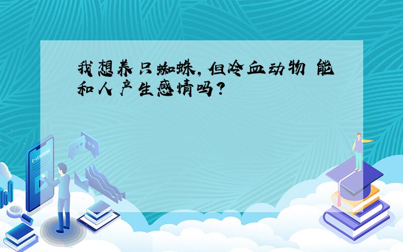 我想养只蜘蛛,但冷血动物 能和人产生感情吗?