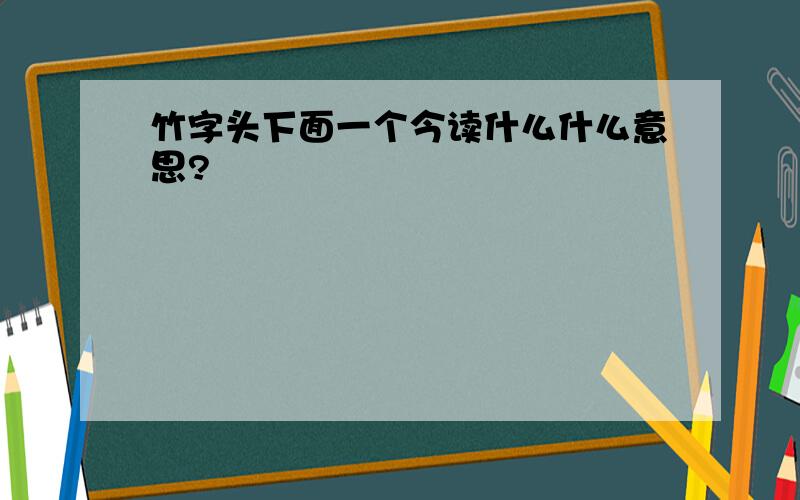 竹字头下面一个今读什么什么意思?