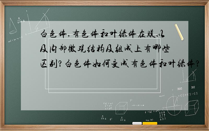 白色体,有色体和叶绿体在膜以及内部微观结构及组成上有哪些区别?白色体如何变成有色体和叶绿体?