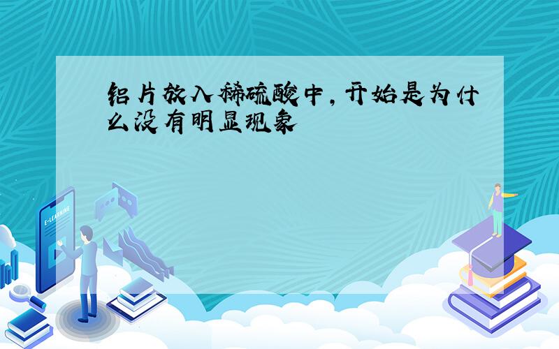 铝片放入稀硫酸中,开始是为什么没有明显现象