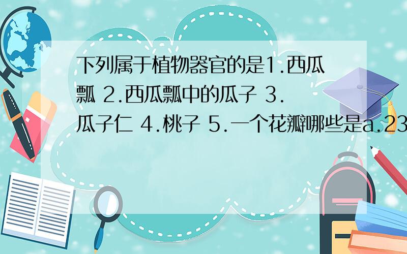 下列属于植物器官的是1.西瓜瓢 2.西瓜瓢中的瓜子 3.瓜子仁 4.桃子 5.一个花瓣哪些是a.2345 b.234 c