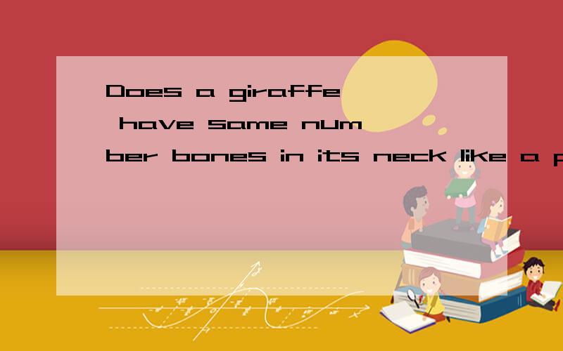 Does a giraffe have same number bones in its neck like a per