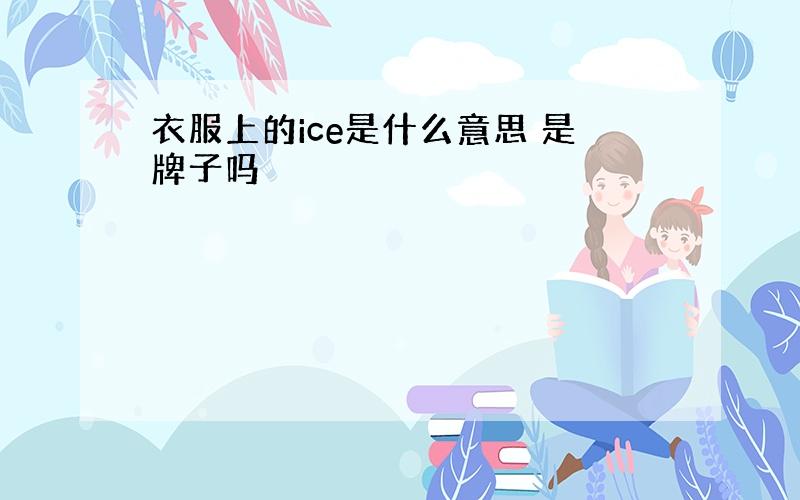 衣服上的ice是什么意思 是牌子吗