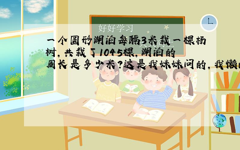 一个圆形湖泊每隔3米栽一棵杨树,共栽了1045棵,湖泊的周长是多少米?这是我妹妹问的,我懒的给她答