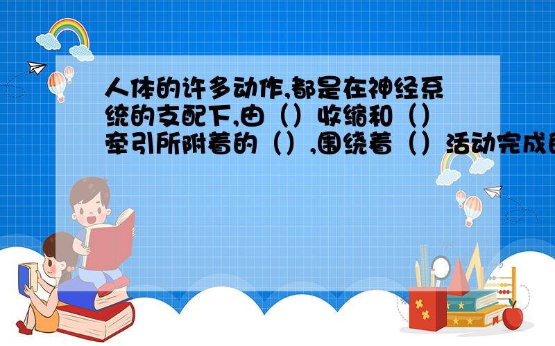 人体的许多动作,都是在神经系统的支配下,由（）收缩和（）牵引所附着的（）,围绕着（）活动完成的.