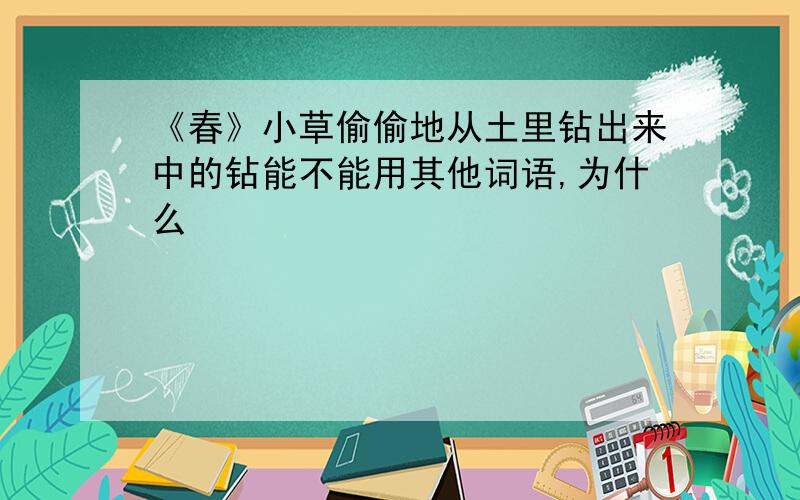 《春》小草偷偷地从土里钻出来中的钻能不能用其他词语,为什么