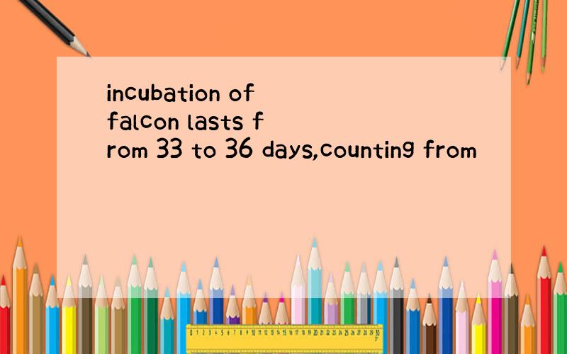 incubation of falcon lasts from 33 to 36 days,counting from