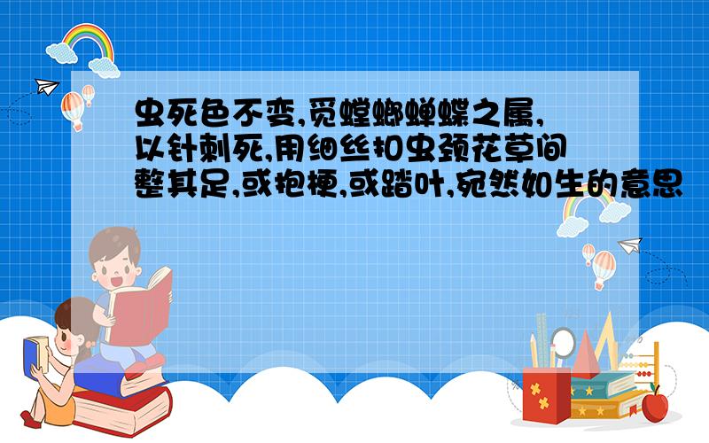 虫死色不变,觅螳螂蝉蝶之属,以针刺死,用细丝扣虫颈花草间整其足,或抱梗,或踏叶,宛然如生的意思