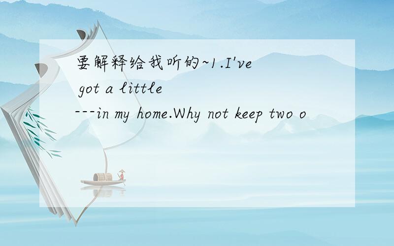 要解释给我听的~1.I've got a little ---in my home.Why not keep two o