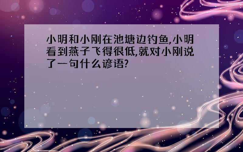 小明和小刚在池塘边钓鱼,小明看到燕子飞得很低,就对小刚说了一句什么谚语?