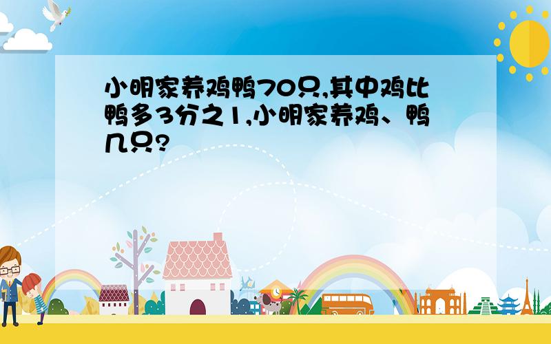 小明家养鸡鸭70只,其中鸡比鸭多3分之1,小明家养鸡、鸭几只?