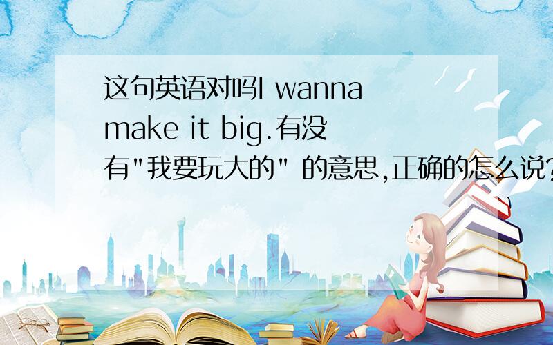 这句英语对吗I wanna make it big.有没有