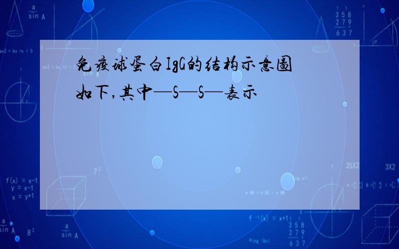 免疫球蛋白IgG的结构示意图如下,其中—S—S—表示