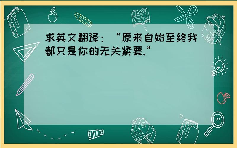 求英文翻译：“原来自始至终我都只是你的无关紧要.”