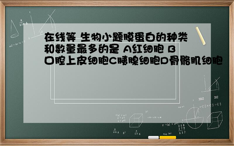 在线等 生物小题膜蛋白的种类和数量最多的是 A红细胞 B口腔上皮细胞C胰腺细胞D骨骼肌细胞