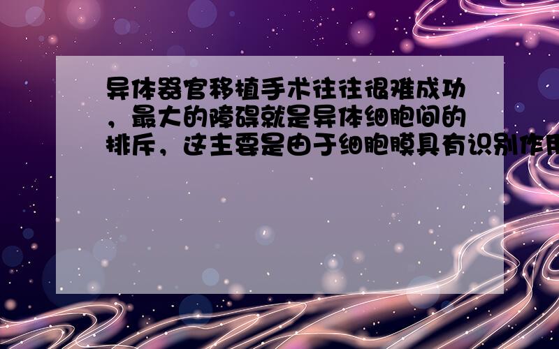 异体器官移植手术往往很难成功，最大的障碍就是异体细胞间的排斥，这主要是由于细胞膜具有识别作用，完成这一生理功能的结构基础