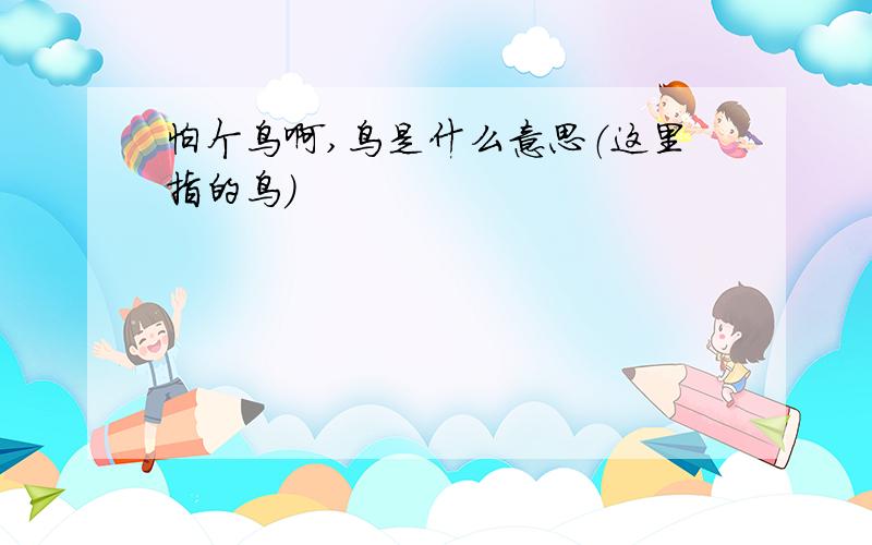 怕个鸟啊,鸟是什么意思（这里指的鸟）