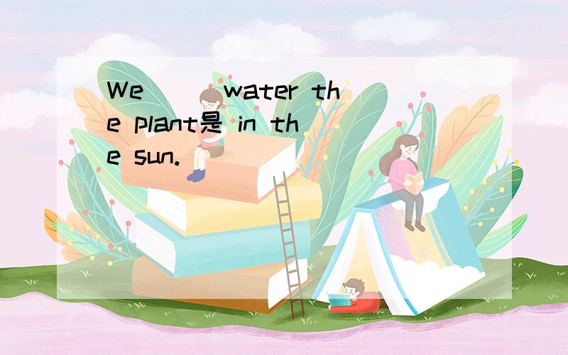 We ( )water the plant是 in the sun.