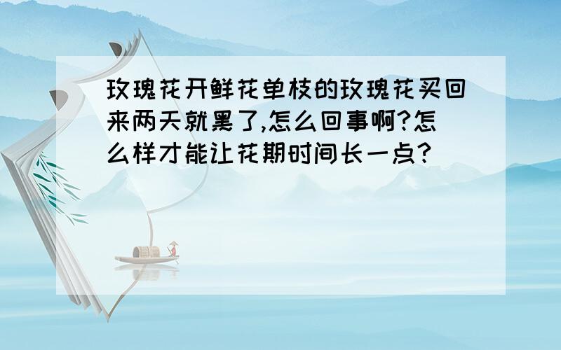 玫瑰花开鲜花单枝的玫瑰花买回来两天就黑了,怎么回事啊?怎么样才能让花期时间长一点?