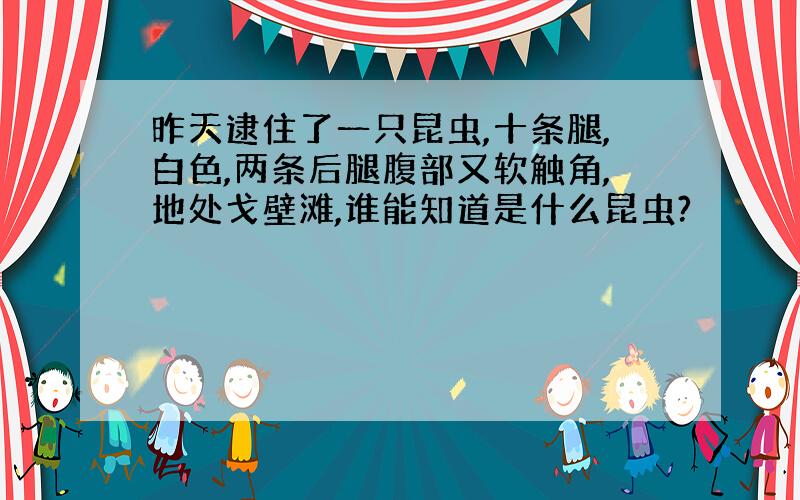 昨天逮住了一只昆虫,十条腿,白色,两条后腿腹部又软触角,地处戈壁滩,谁能知道是什么昆虫?