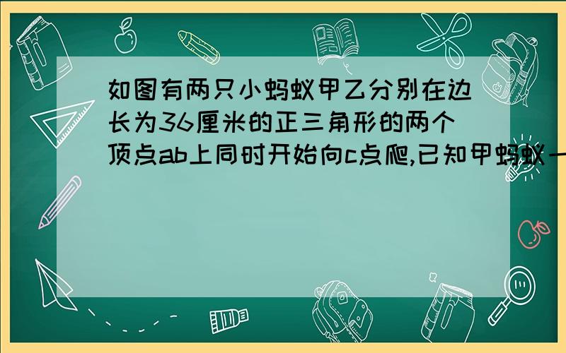 如图有两只小蚂蚁甲乙分别在边长为36厘米的正三角形的两个顶点ab上同时开始向c点爬,已知甲蚂蚁一直沿顺时针方向爬,速度为