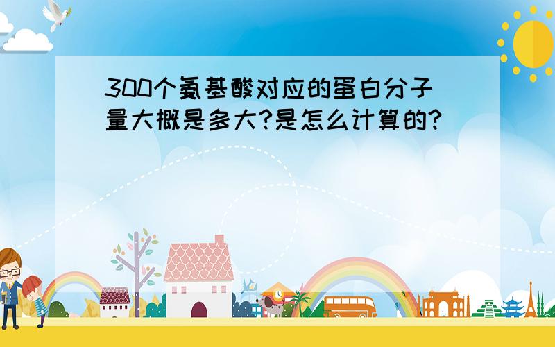 300个氨基酸对应的蛋白分子量大概是多大?是怎么计算的?