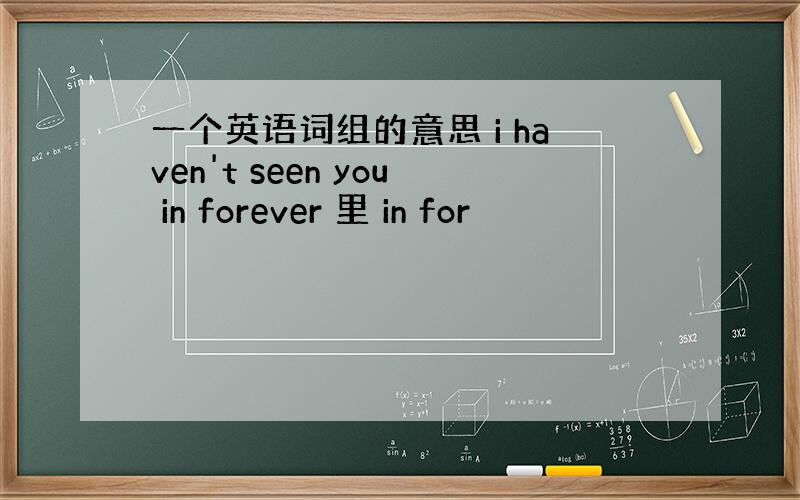 一个英语词组的意思 i haven't seen you in forever 里 in for